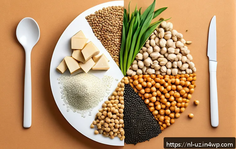 비건을 위한 맞춤형 영양 안내 관련 이미지 2